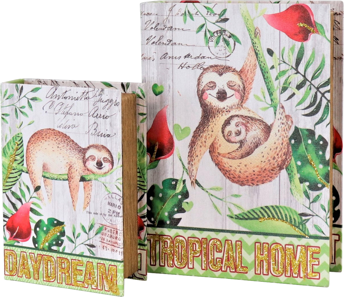 1157 LIBRI  FAULTIER  2PZ