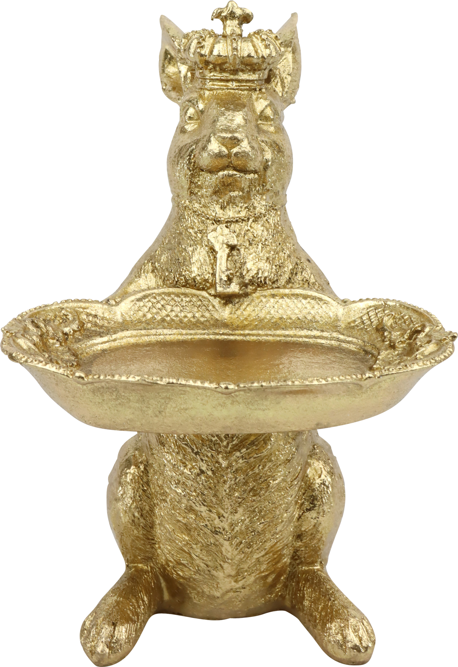 1433 MAGGIORDOMO GOLDHASE