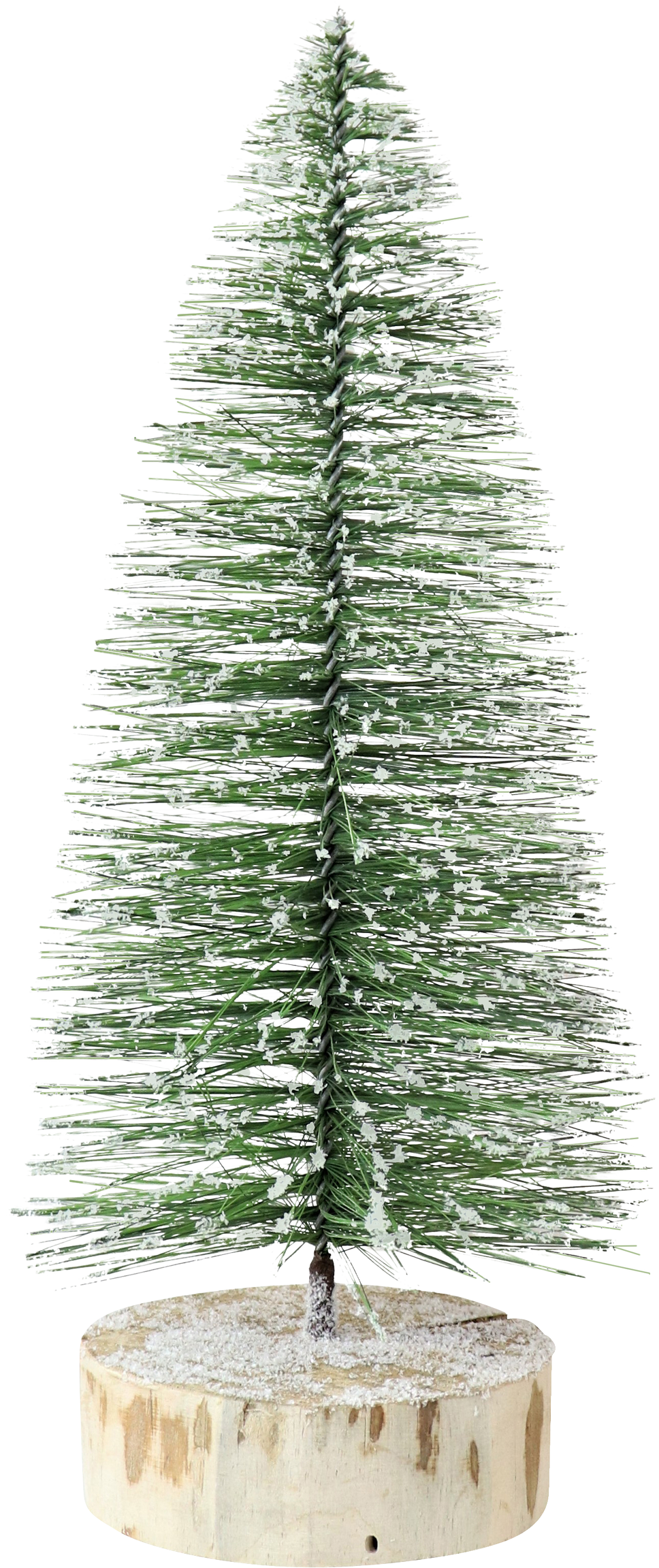 1591 SAPIN  GREENWOOD