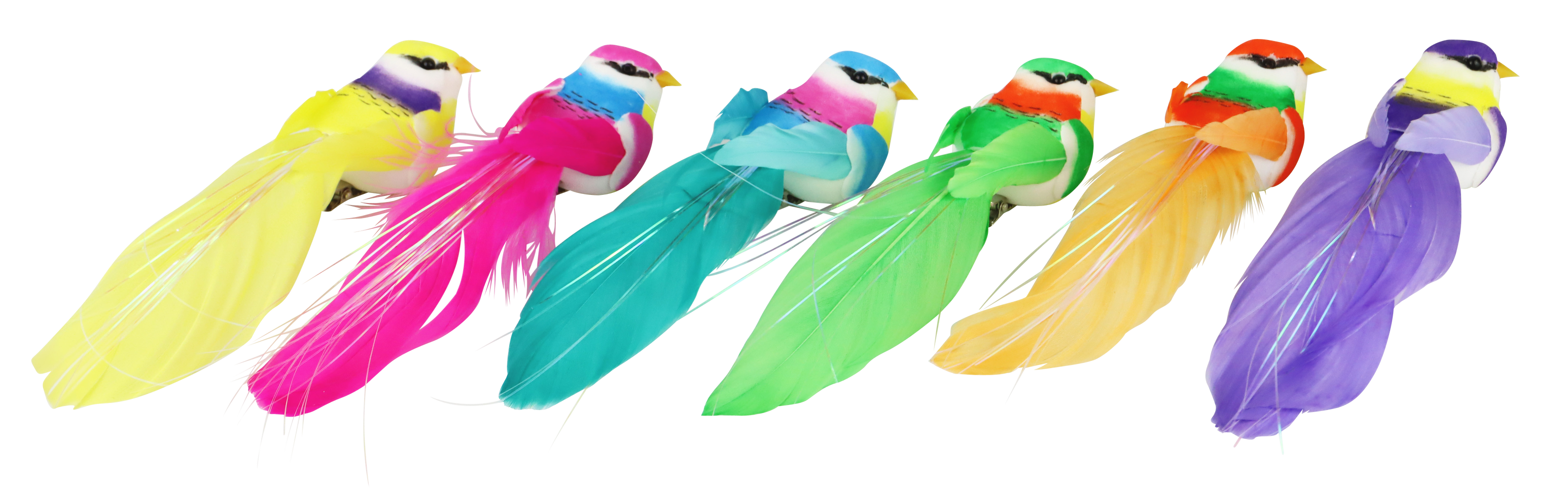 1691 COLLIERS BEAUTIFUL BIRDS  6P