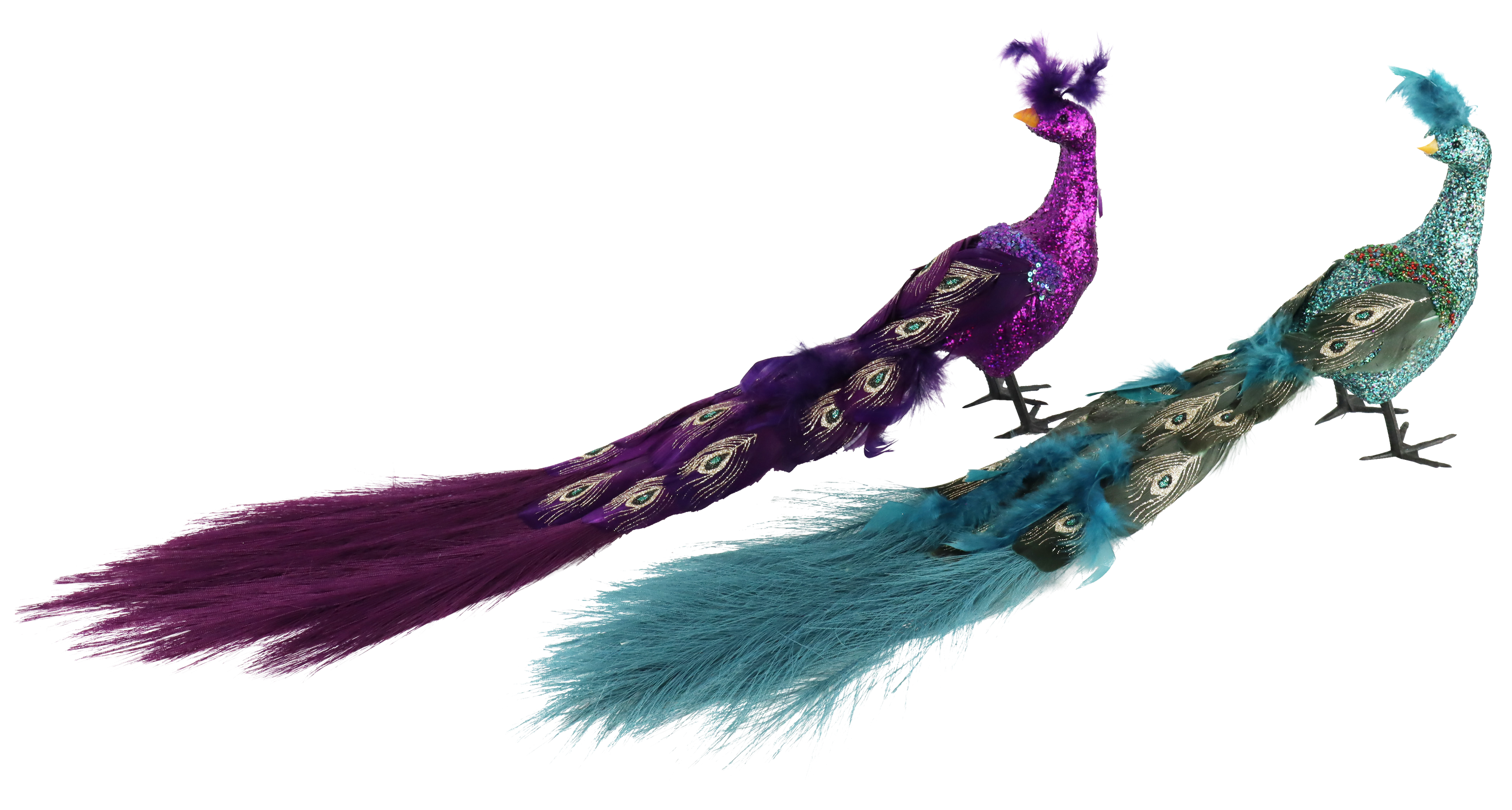 1697 UCCELLI ORNAMENTALI PEACOCK  2PZ