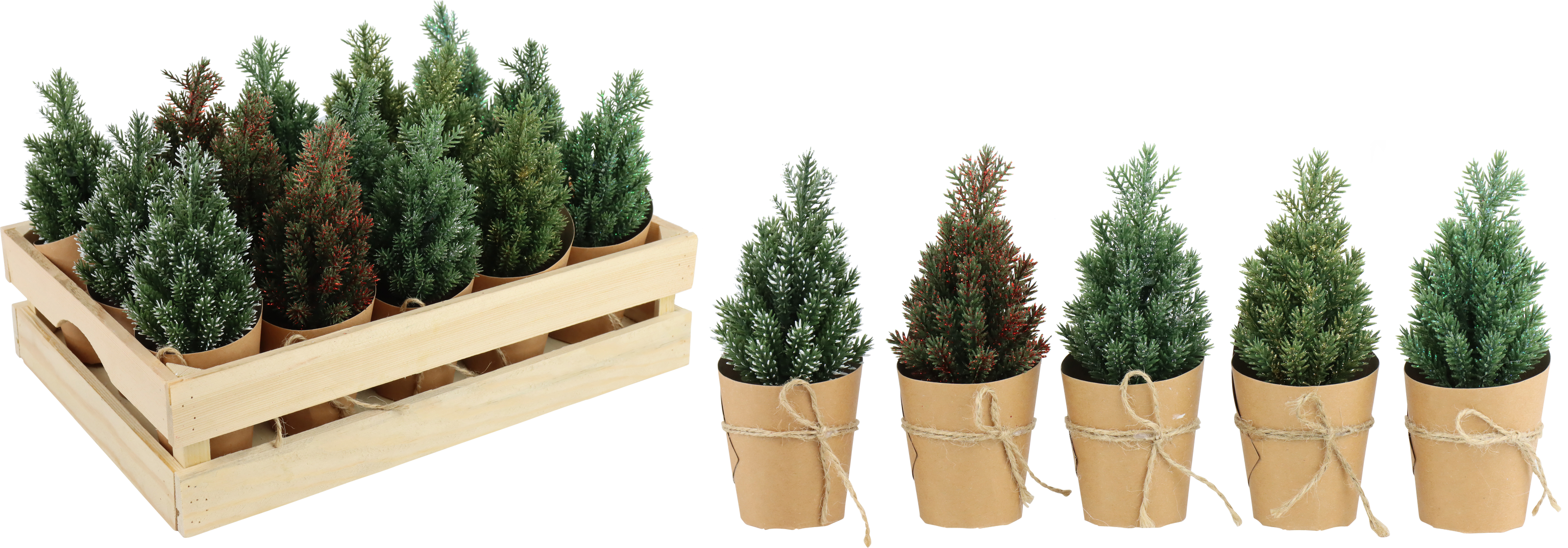 1860 TREES IN BOX WINTERWALD  S/15