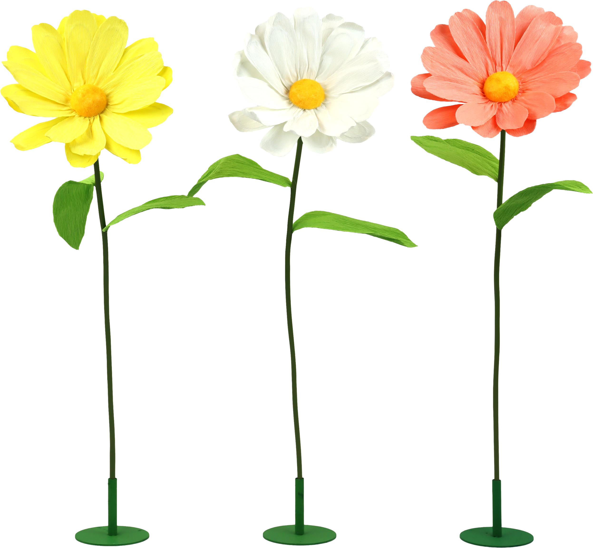 2014 FLOWERS  DAISY  S/3