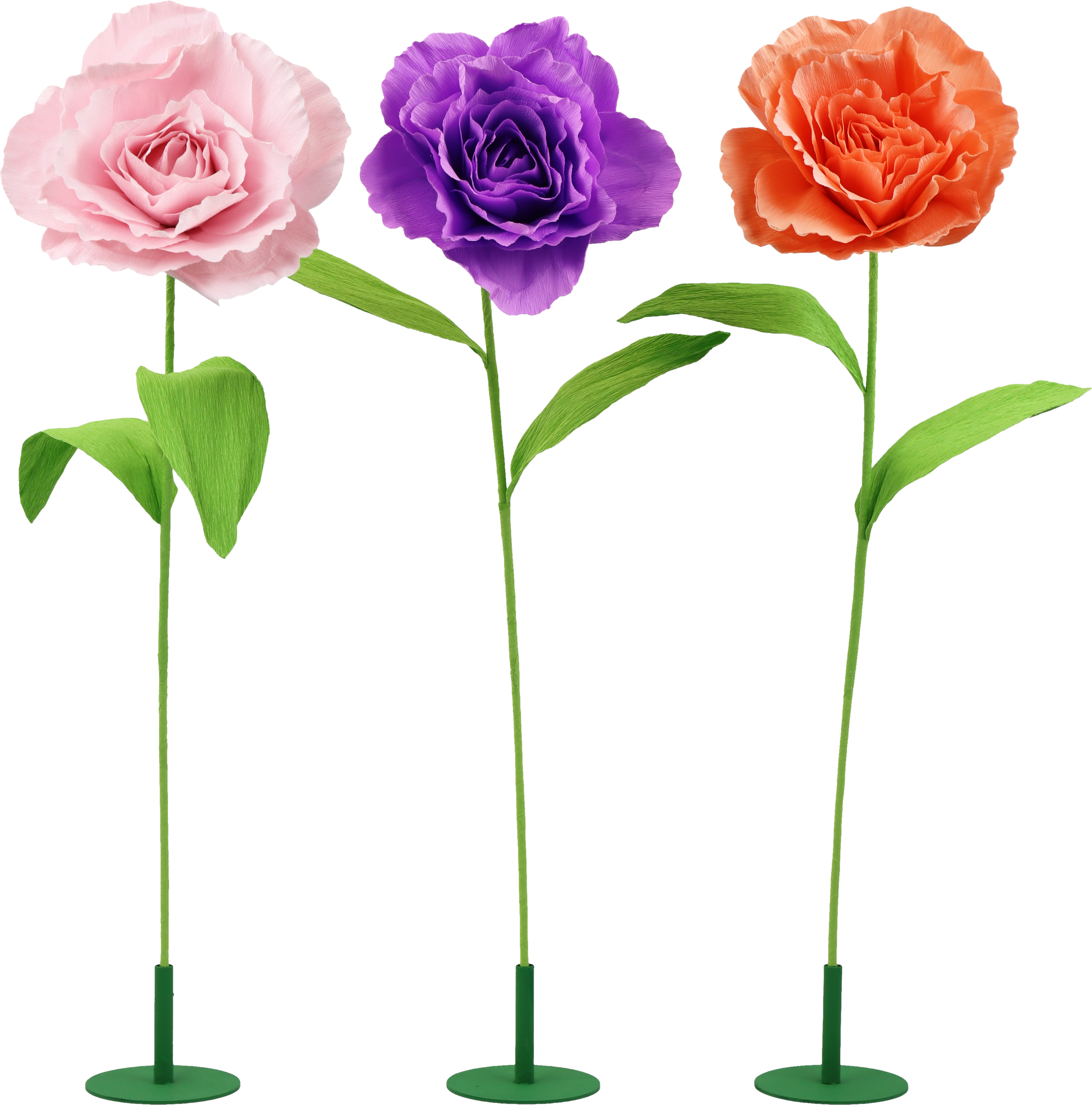 2019 FLOWERS  ROSY  S/3