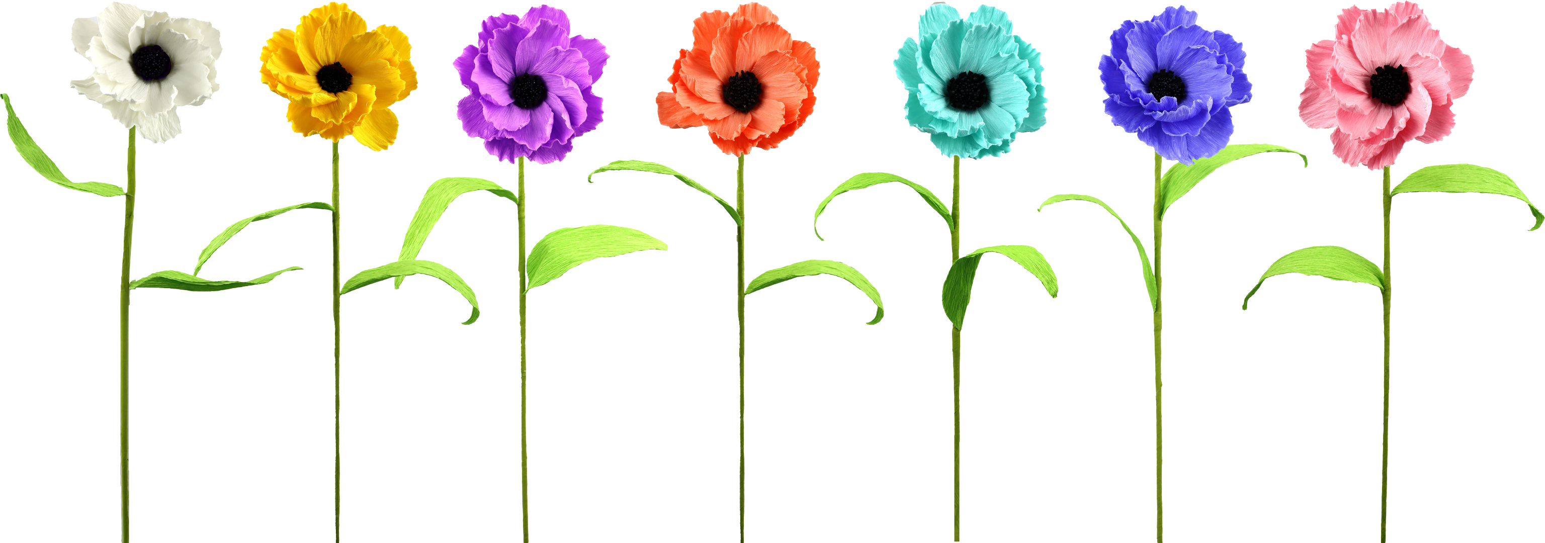 2099 FLOWERBOUQUET ANEMONE  S/7