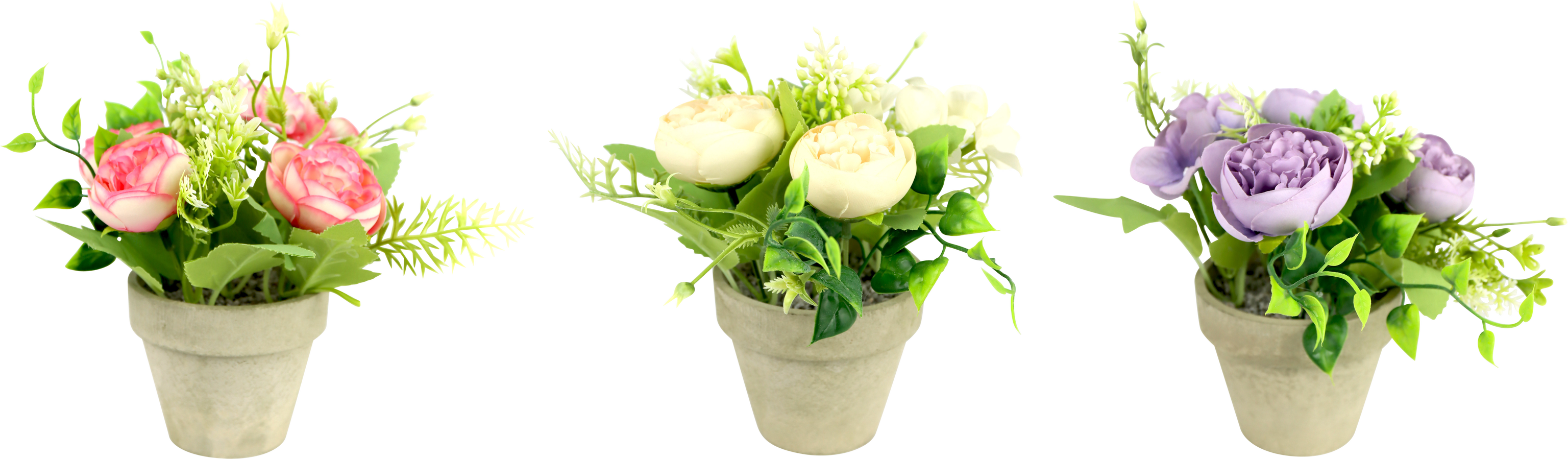 2432 VASI DI FIORI RANUNKELN  3PZ