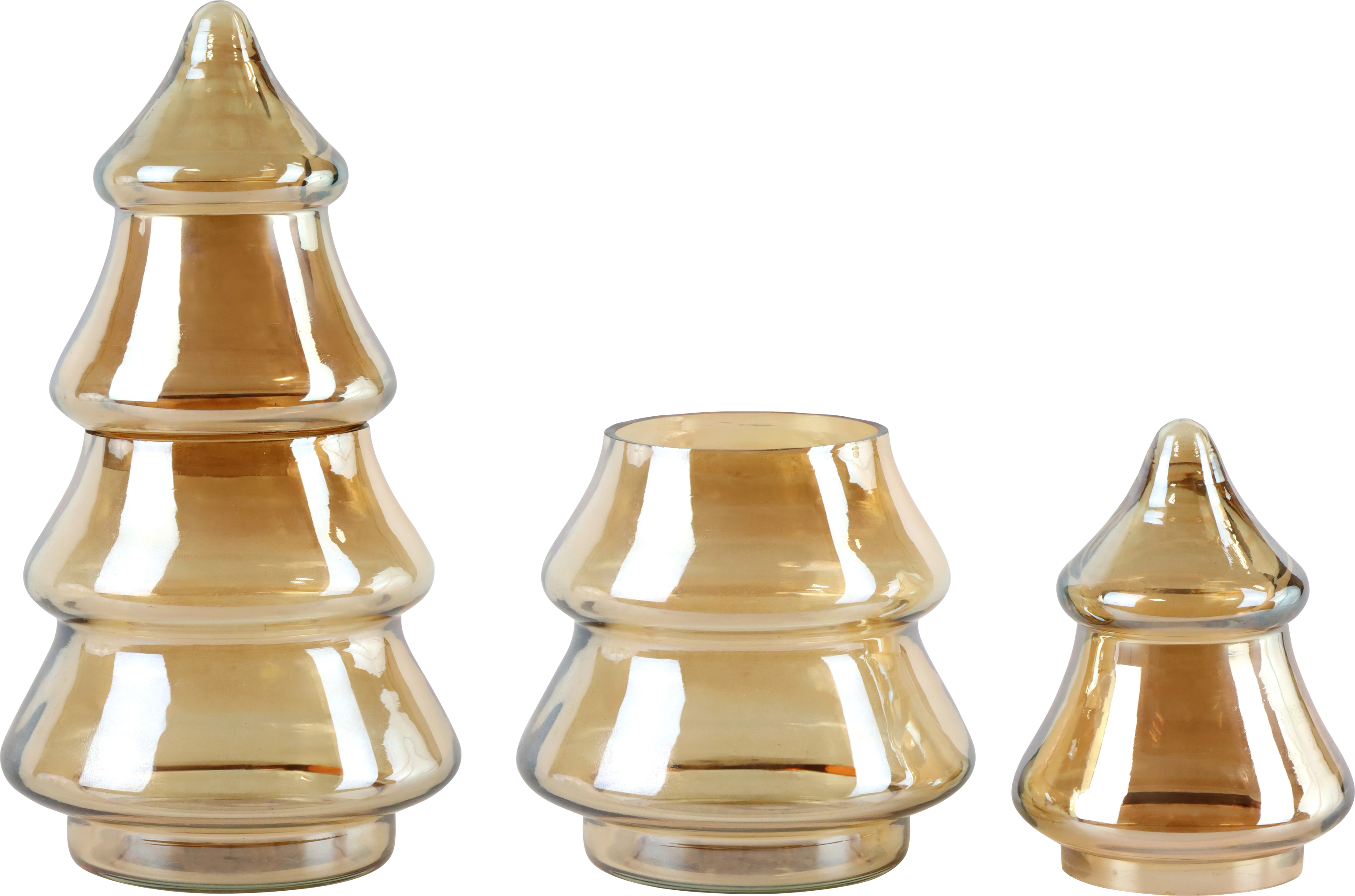 2624 SCATOLA DI VETRO BAUM