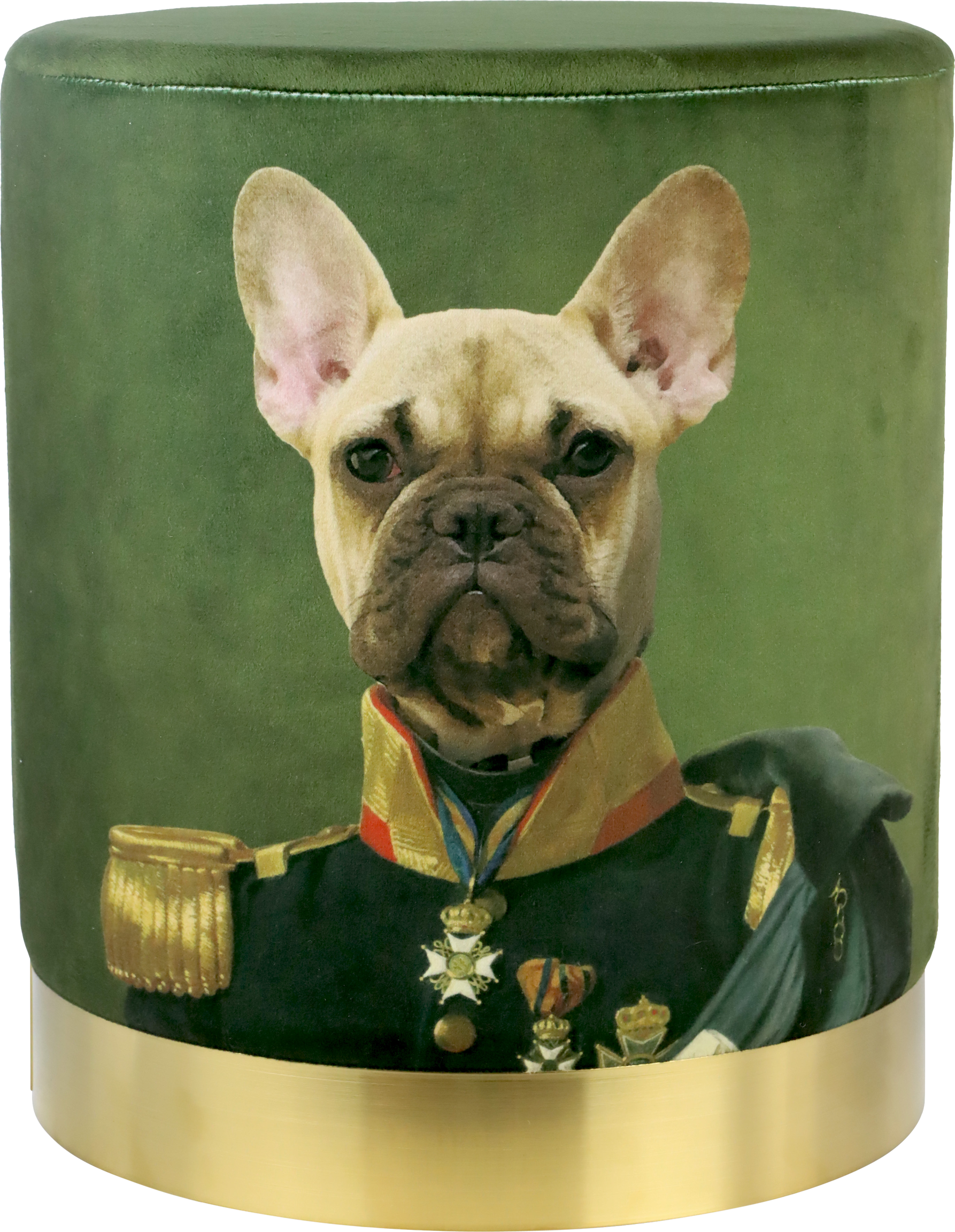 3053 POUF DA SEDUTA KING OF DOGS