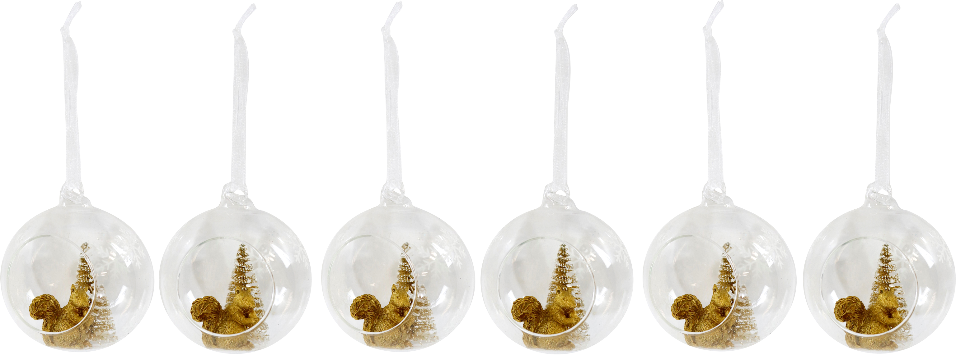 3161 CUPOLE VETRO  EICHHÖRNCHEN  6PZ