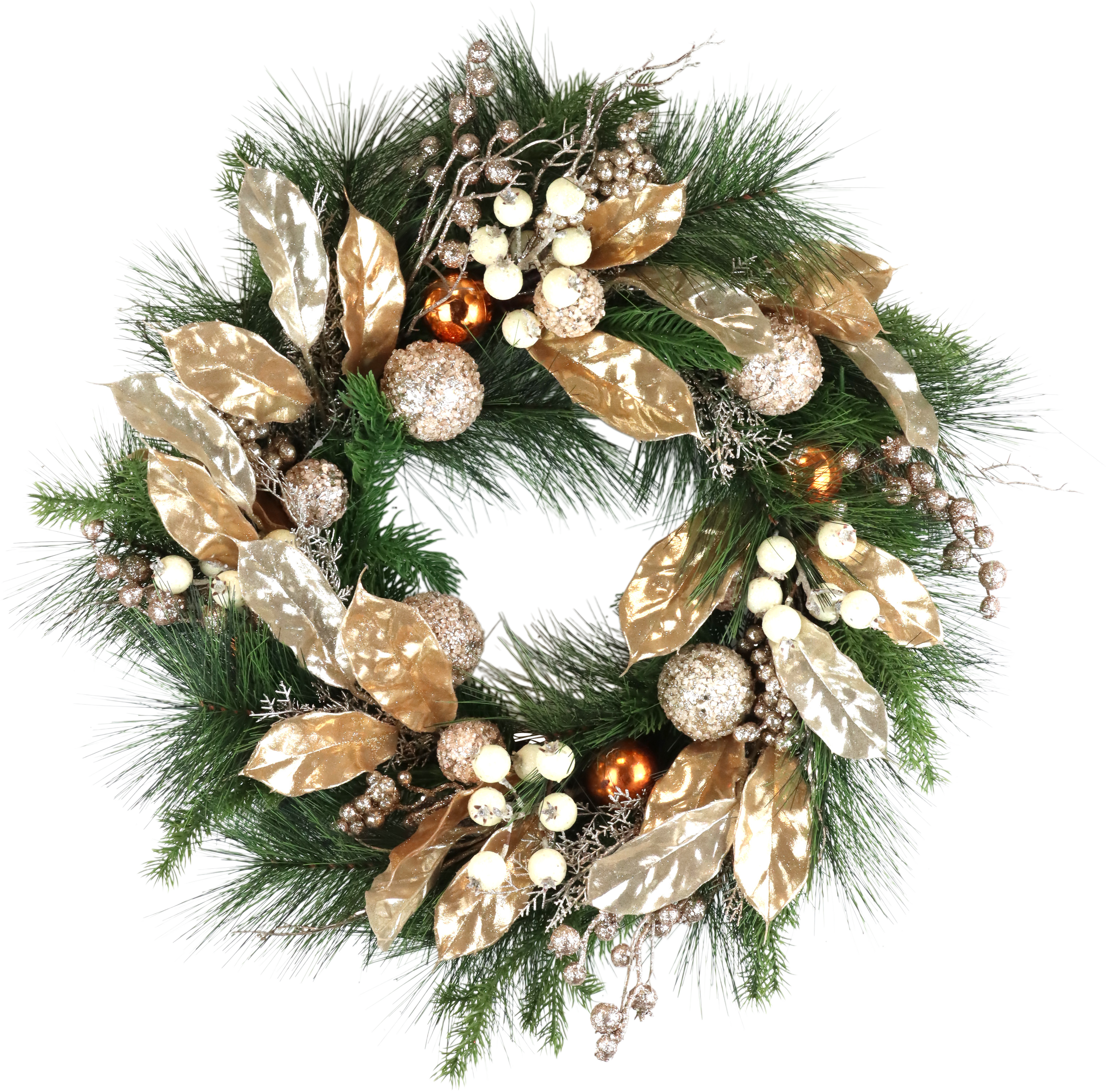 3440 CANDEGGIA GOLDEN HARMONY