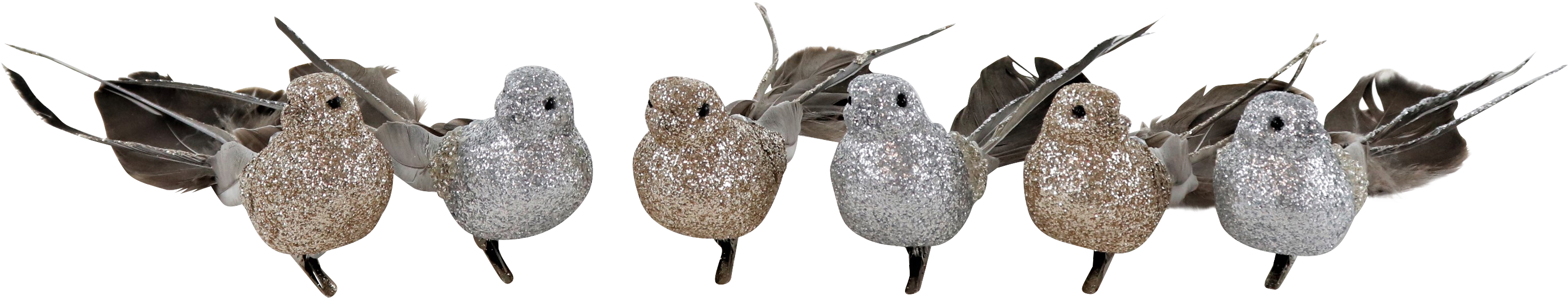 3469 UCCELLINI  FEDERSTOLZ  6PZ