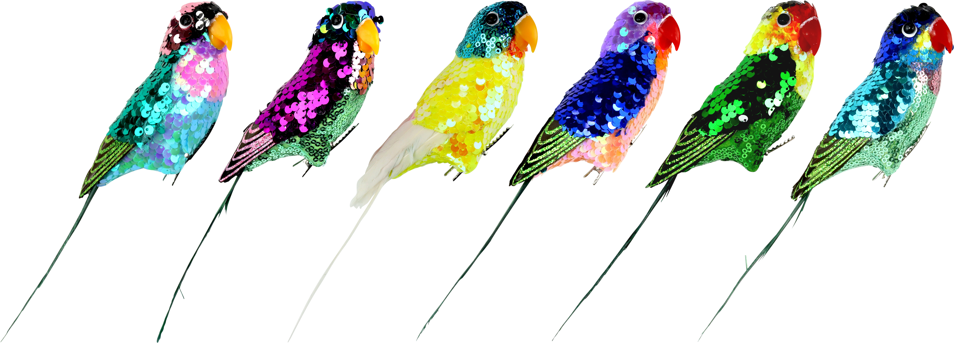 3610 PAPPAGALLI SPARKLE WINGS  6PZ