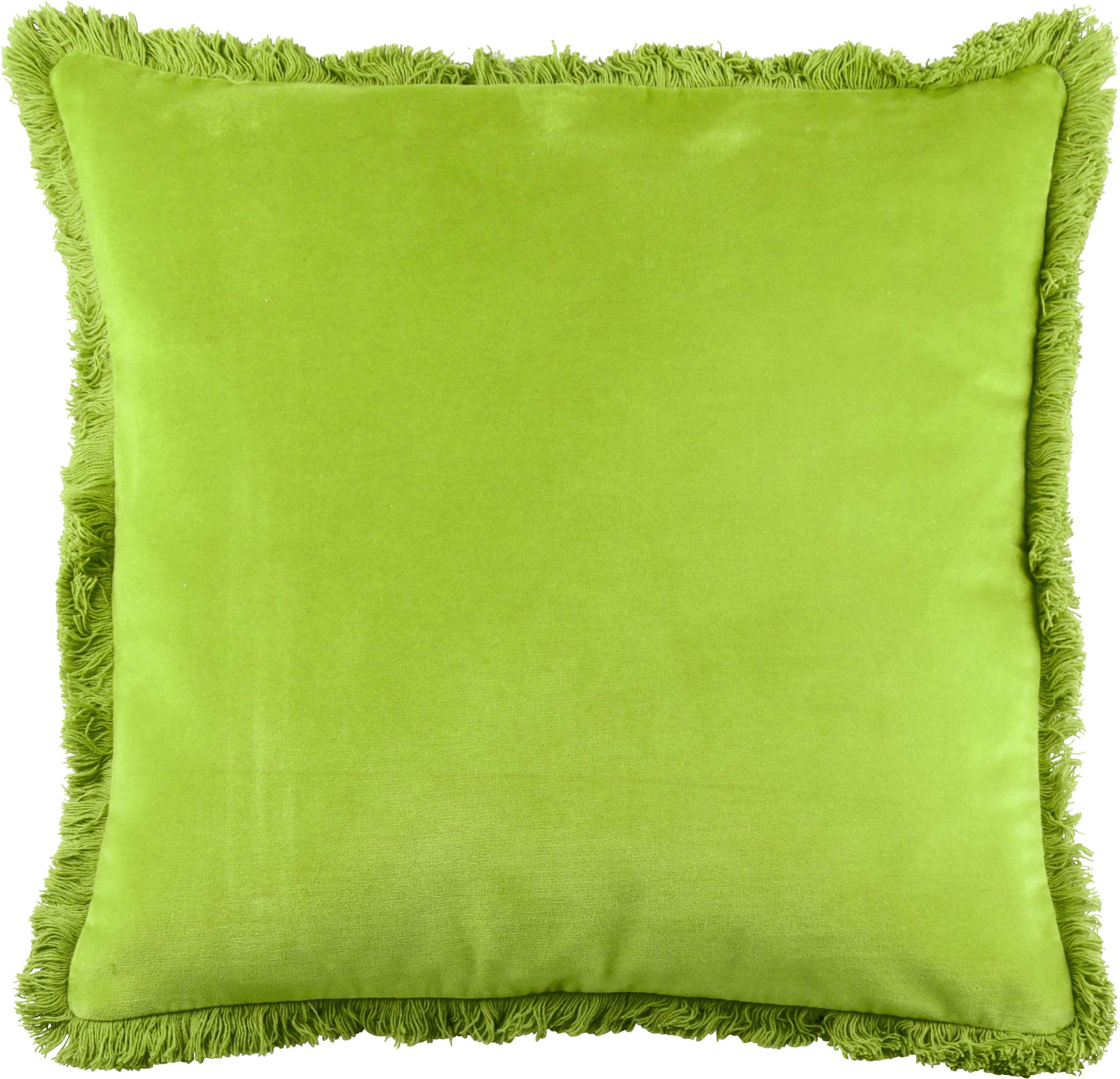 3889 FEDERA LIME 45X45