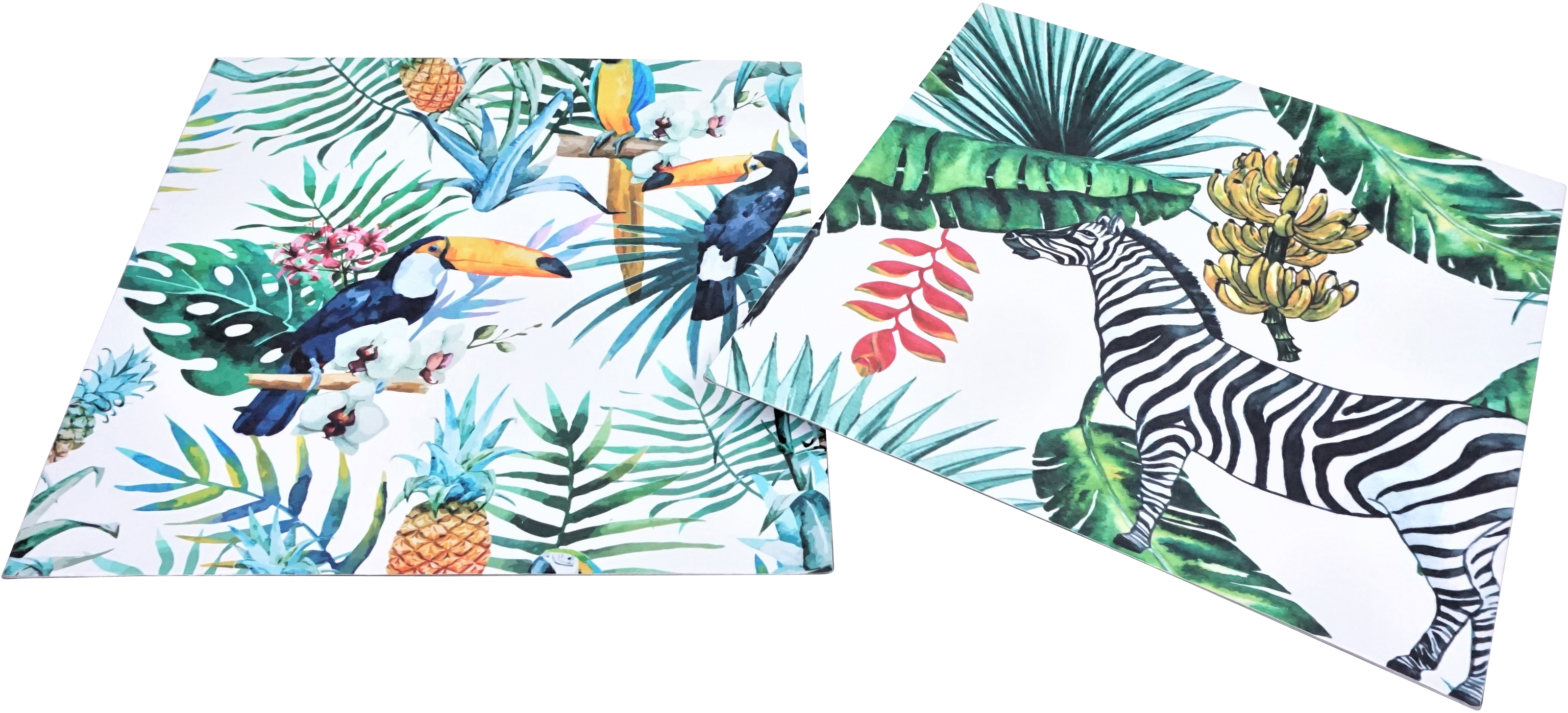 4006 CIOTOLE  PARADISE  2PZ