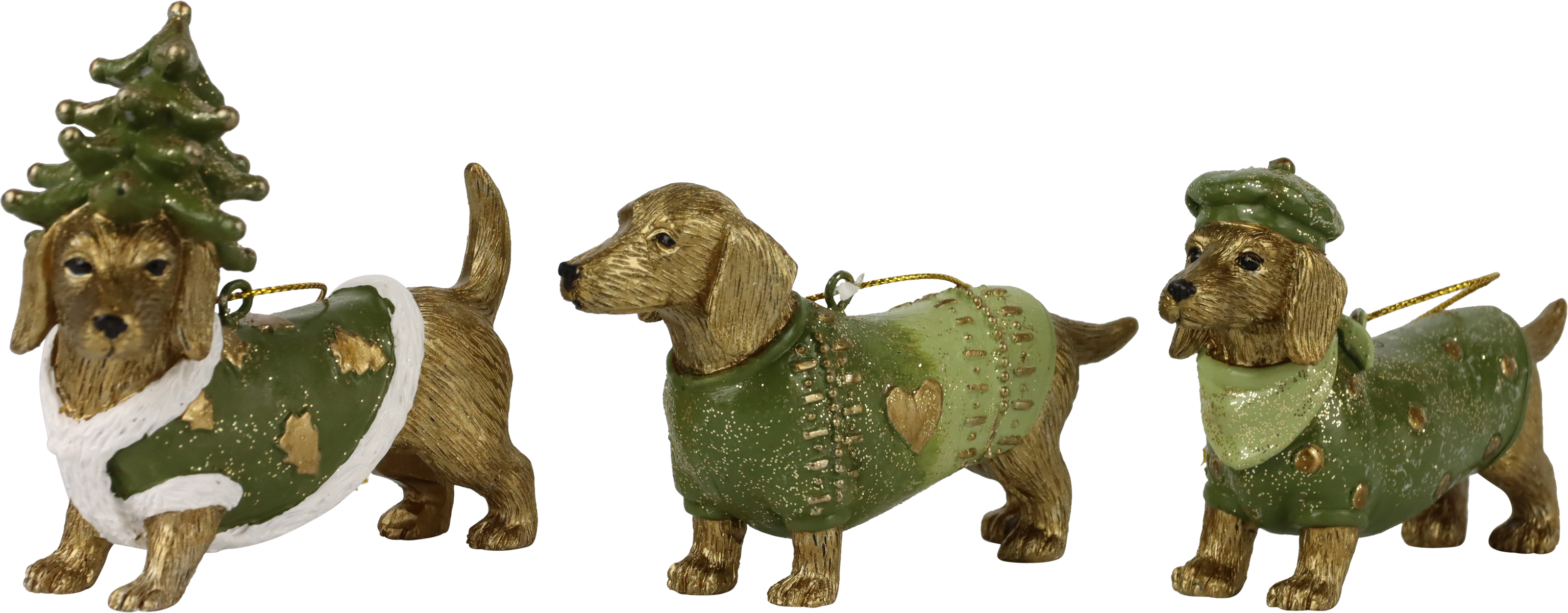 4167 CANI GREEN MEMORIES  3PZ