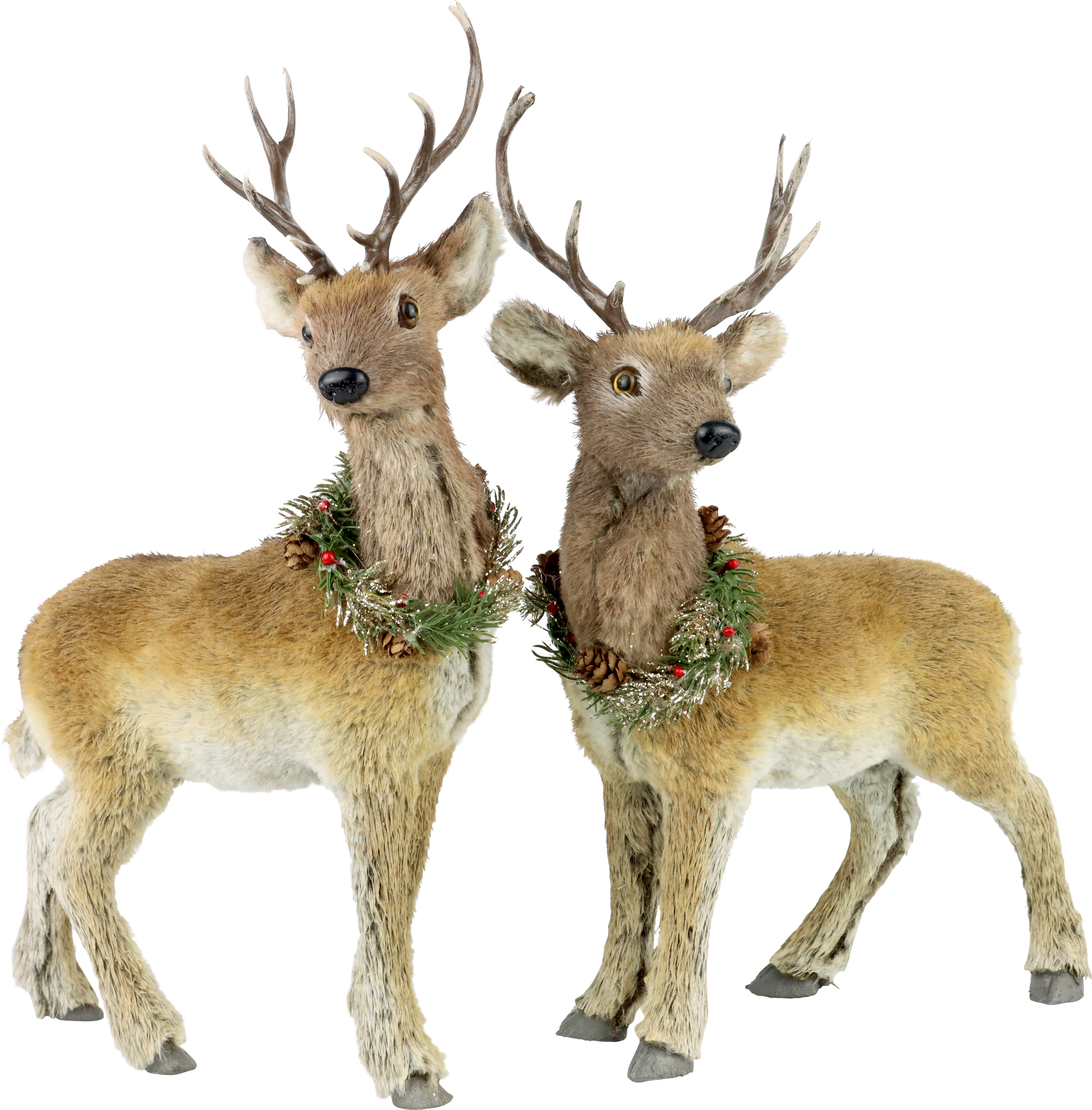 4404 RENNA GREENWOOD  2PZ