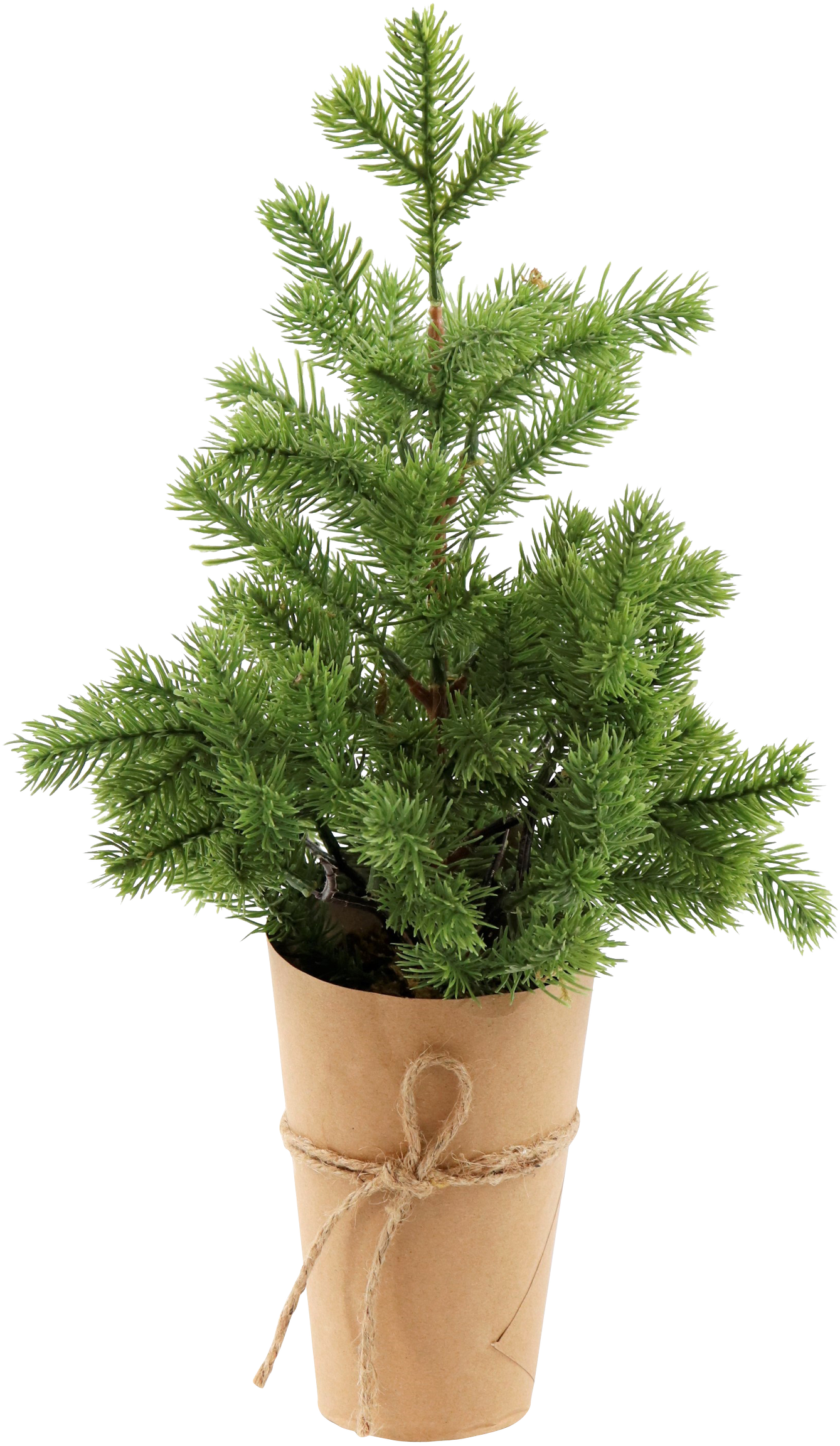 4911 ALBERELLI IN VASO