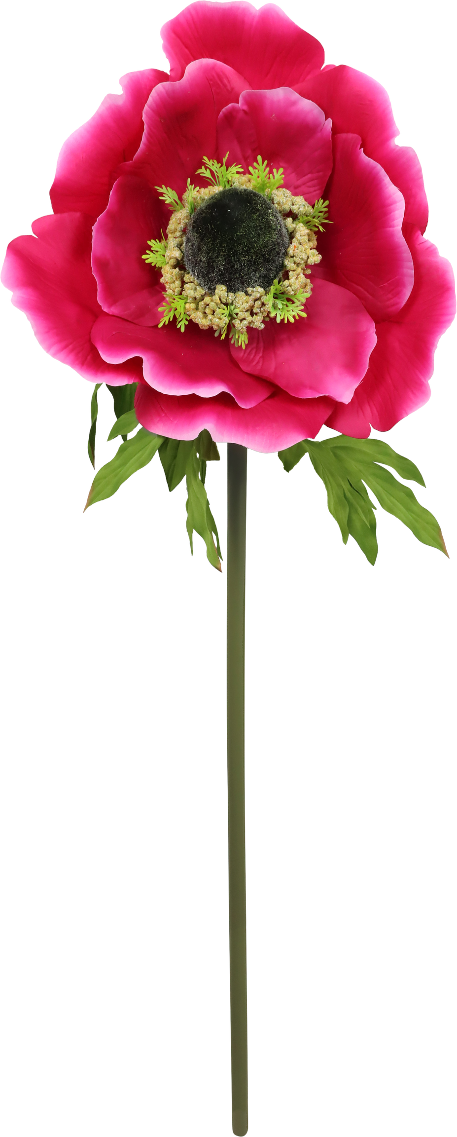 4912 GIANT FLOWER  ANEMONE