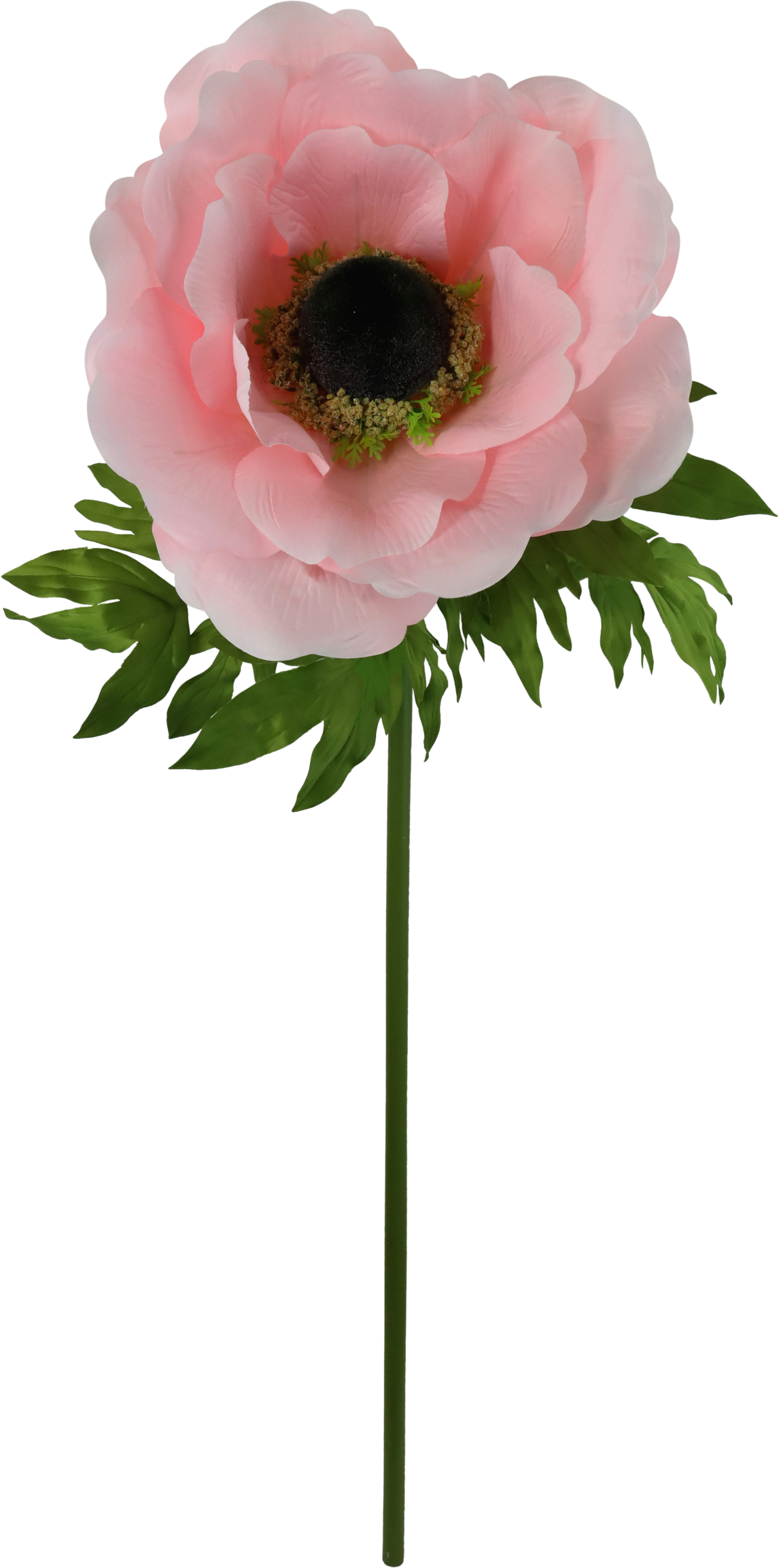 4921 GIANT FLOWER  ANEMONE