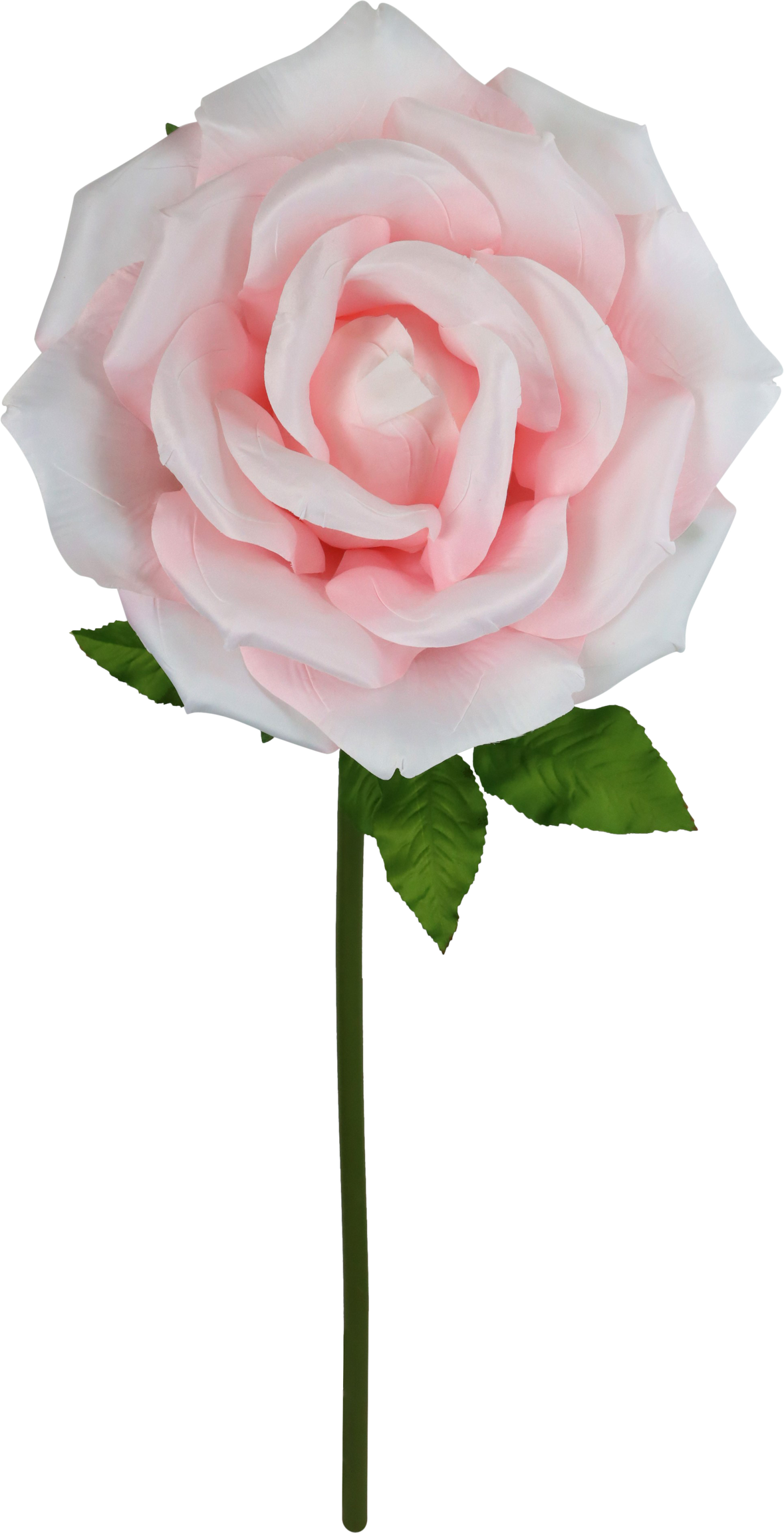 4961 GIANT FLOWER  ROSE