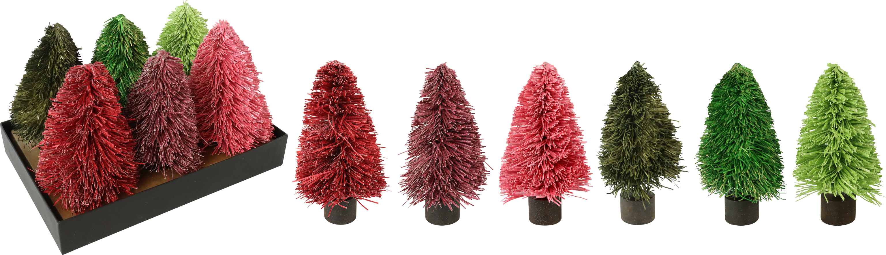 5158 DISPLAY ALBERI FRILL  6PZ