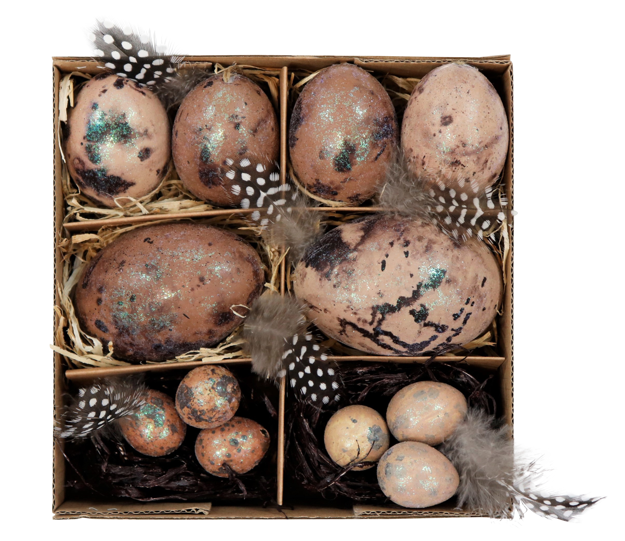 5422 SET UOVA  NATURAL BROWN  12PZ