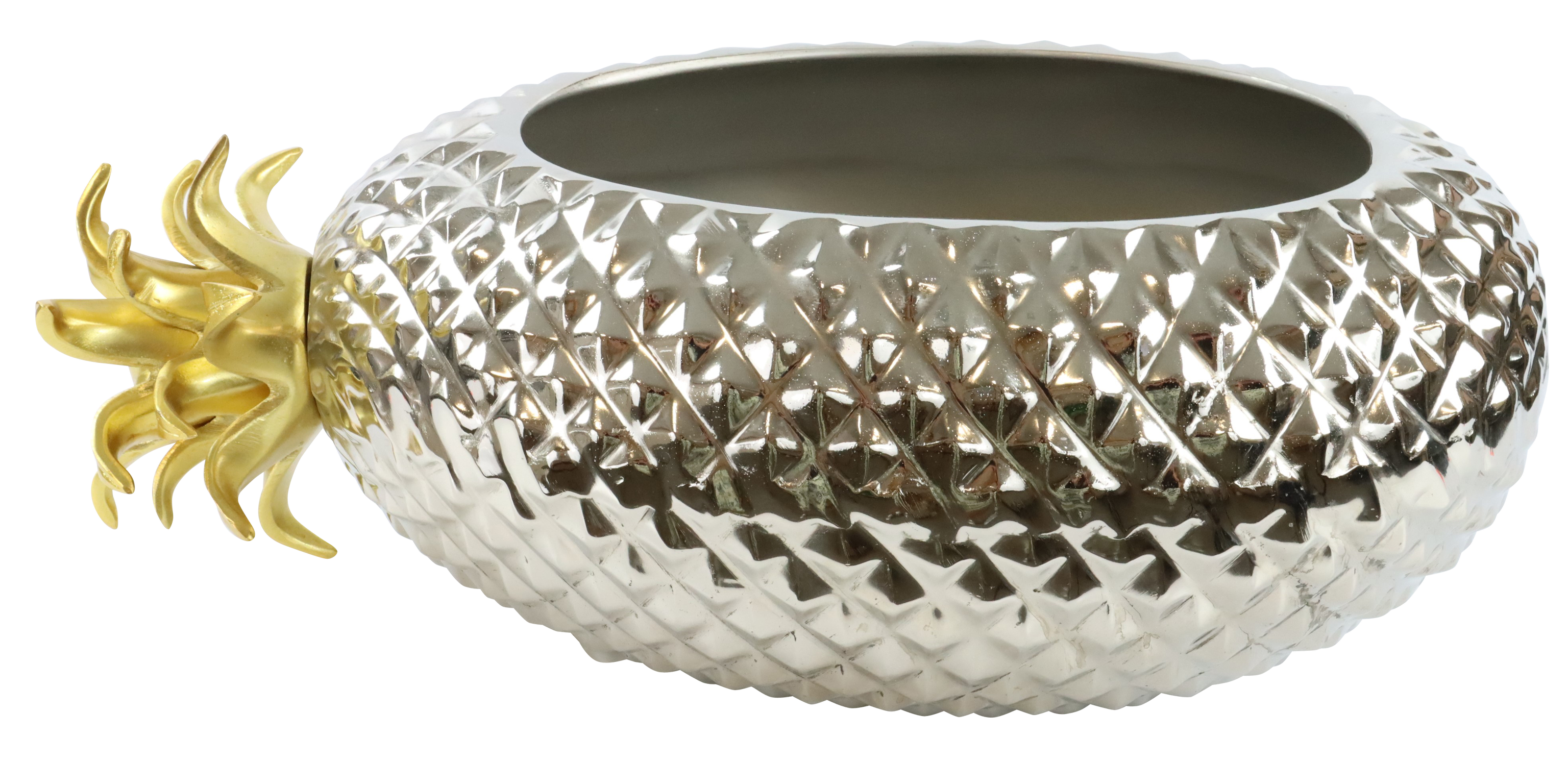 5488 CIOTOLA PINEAPPLE