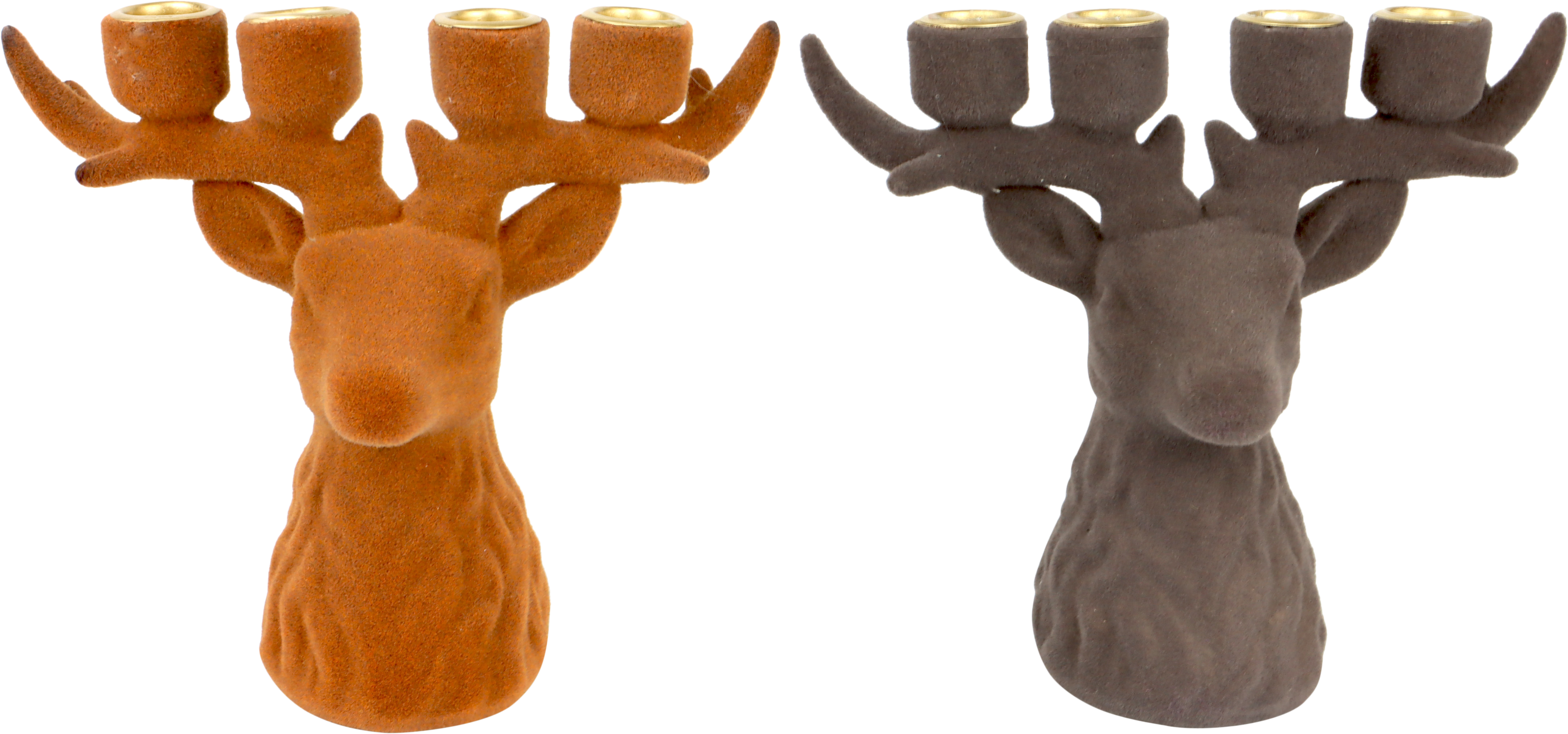 5735 LUCE DI CERVO FOREST GLOW  2PZ