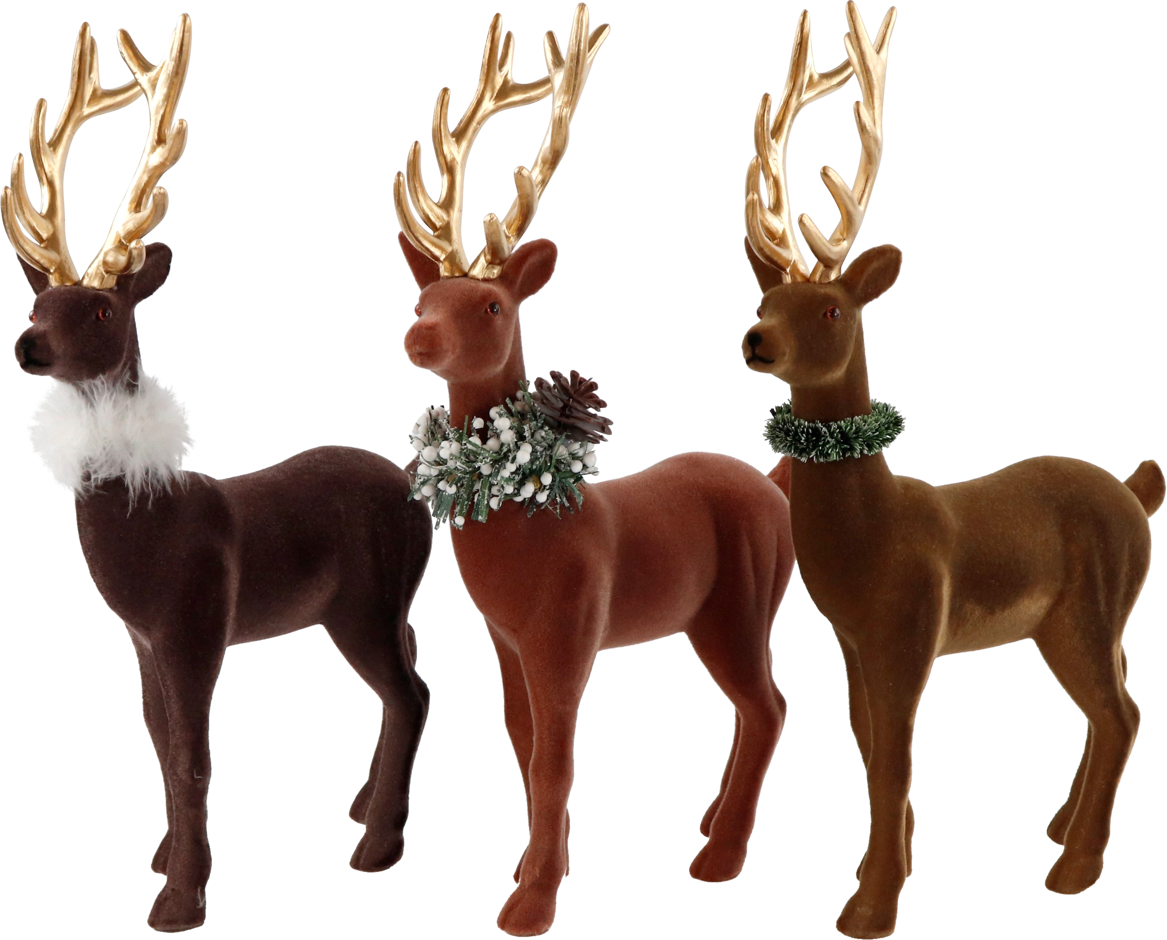 5743 CERFS GINGER  3P