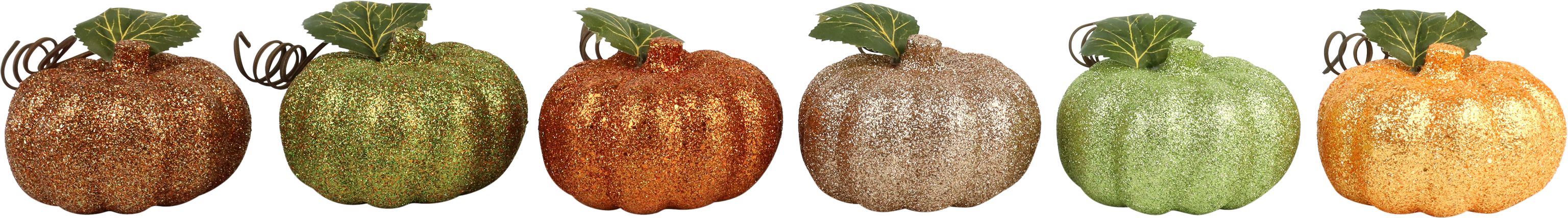 5750 ZUCCHE DECORATIVE HARVEST  6PZ