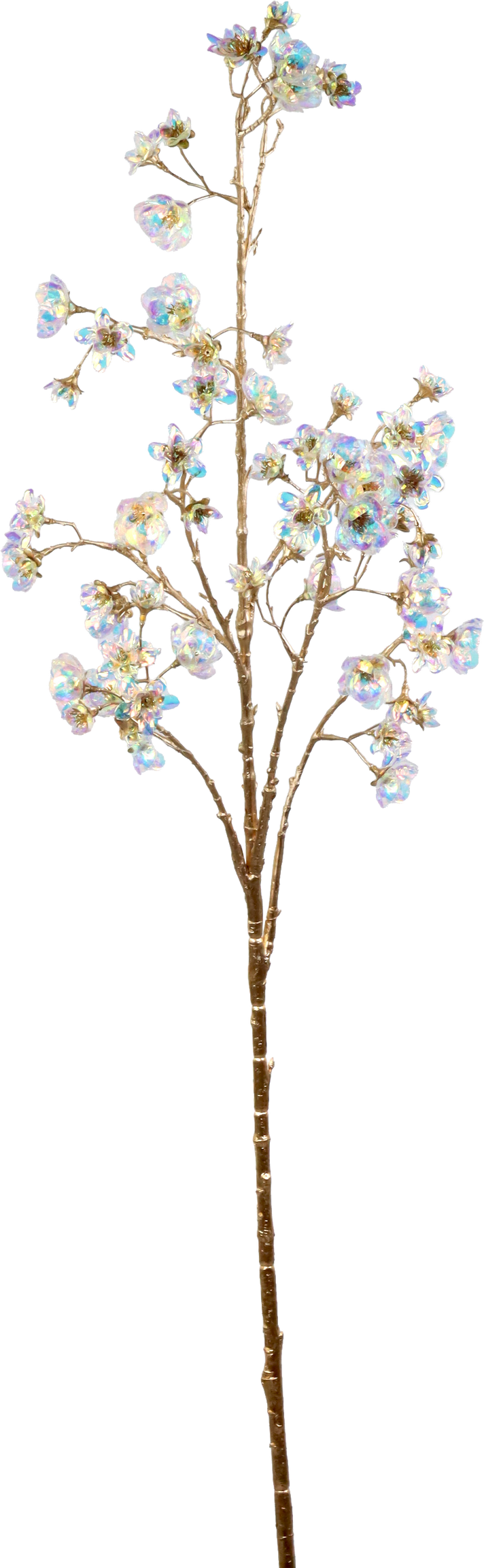 5942 RAMO  FLORA LUXE  TRANSP.