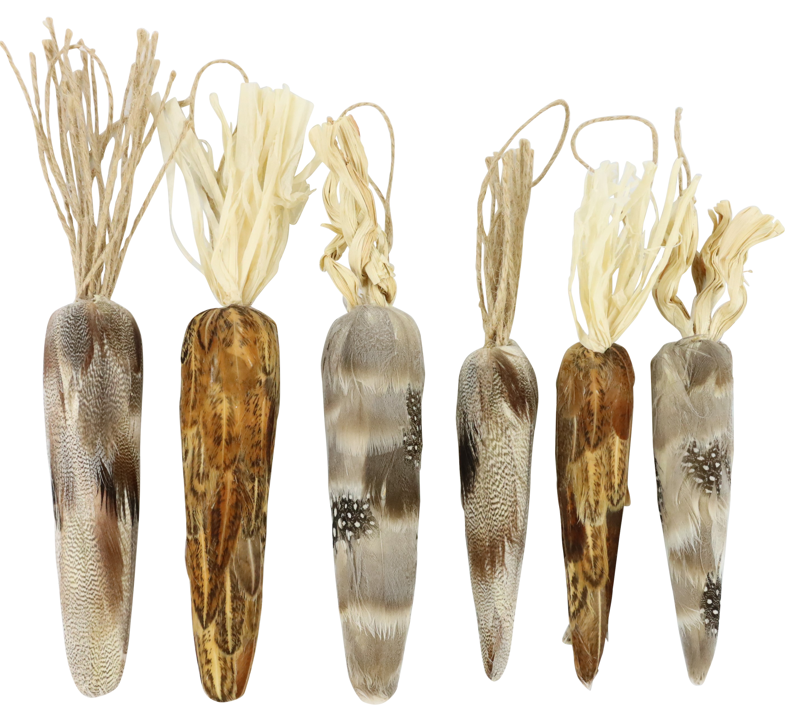 6131 CARROTS NATURAL EASTER  S/6