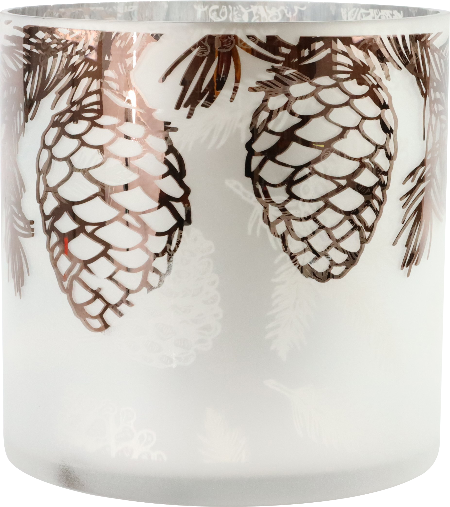 6137 PHOTOPHORE PINE