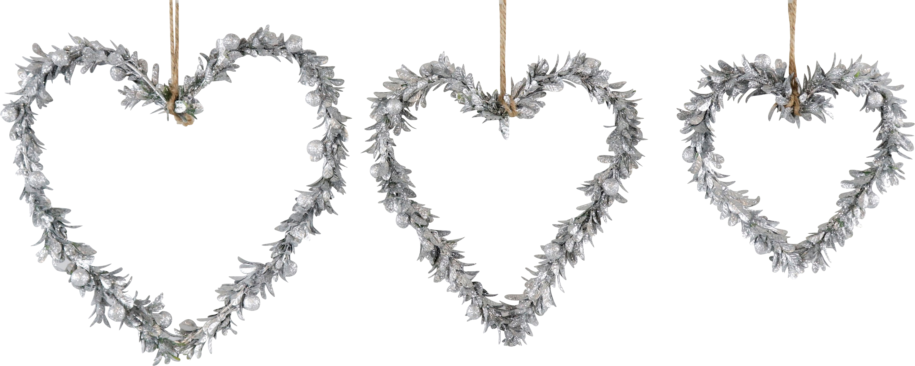 6645 CORONE  LAUREL  3PZ