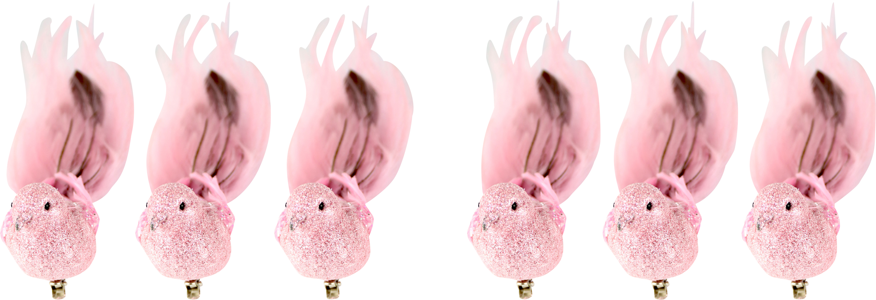 6664 UCCELLI  FEDERSTOLZ  6PZ