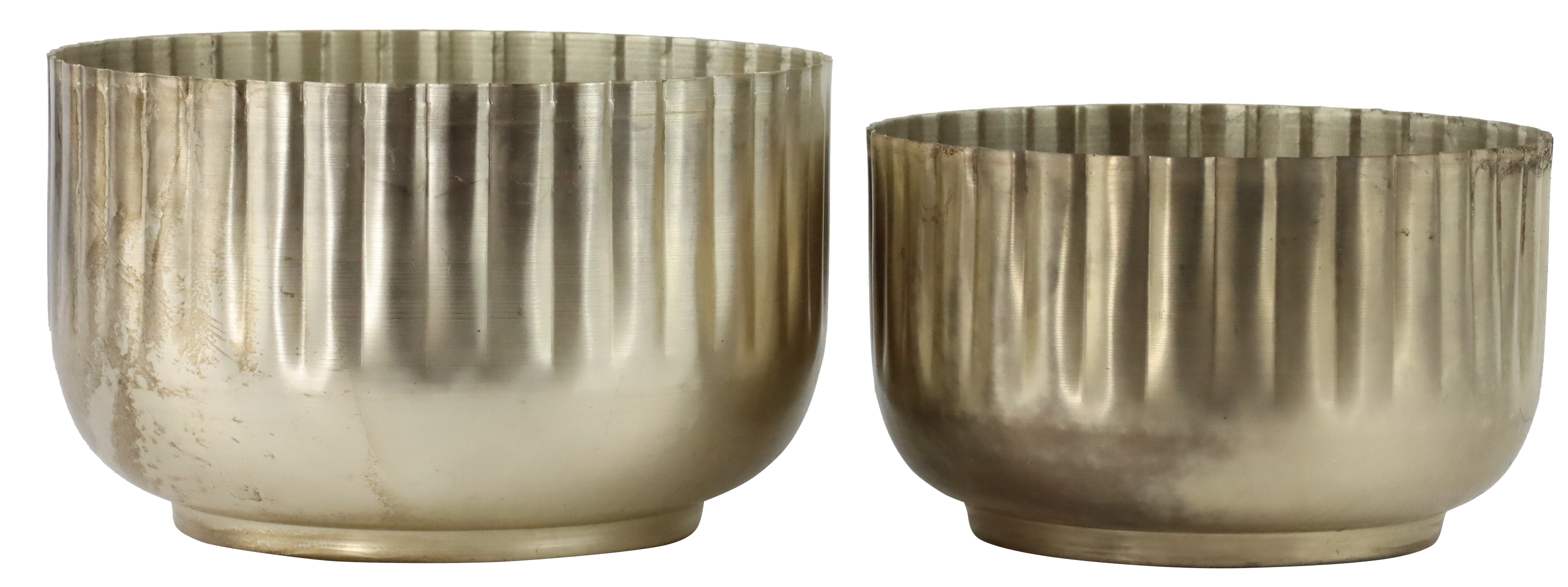 6743 CIOTOLE PALAZZO  2PZ