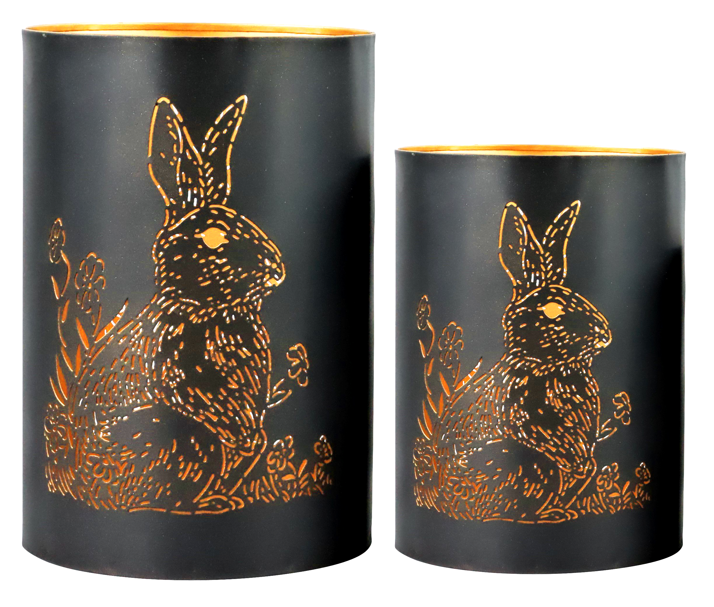 8416 PHOTOPHORES HASEN  2P