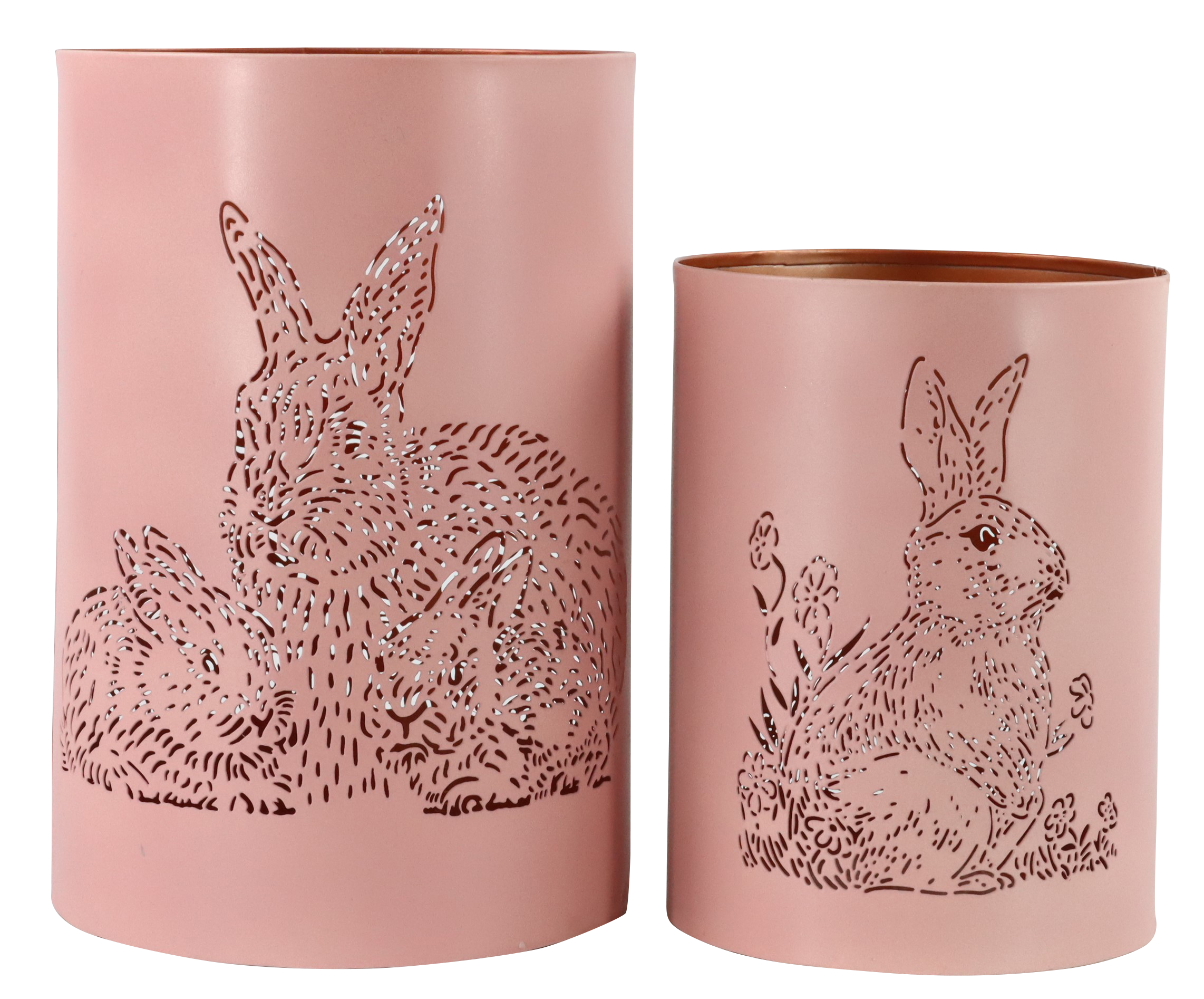 8419 PHOTOPHORES HASEN  2P