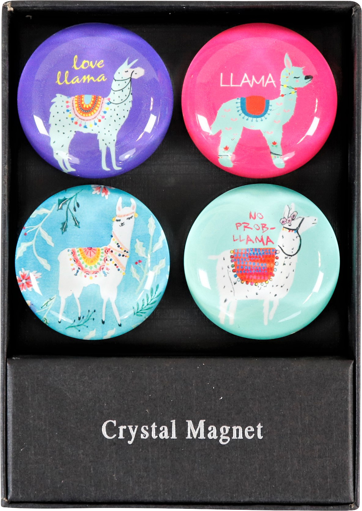 8428 AIMANT  LAMA  4P