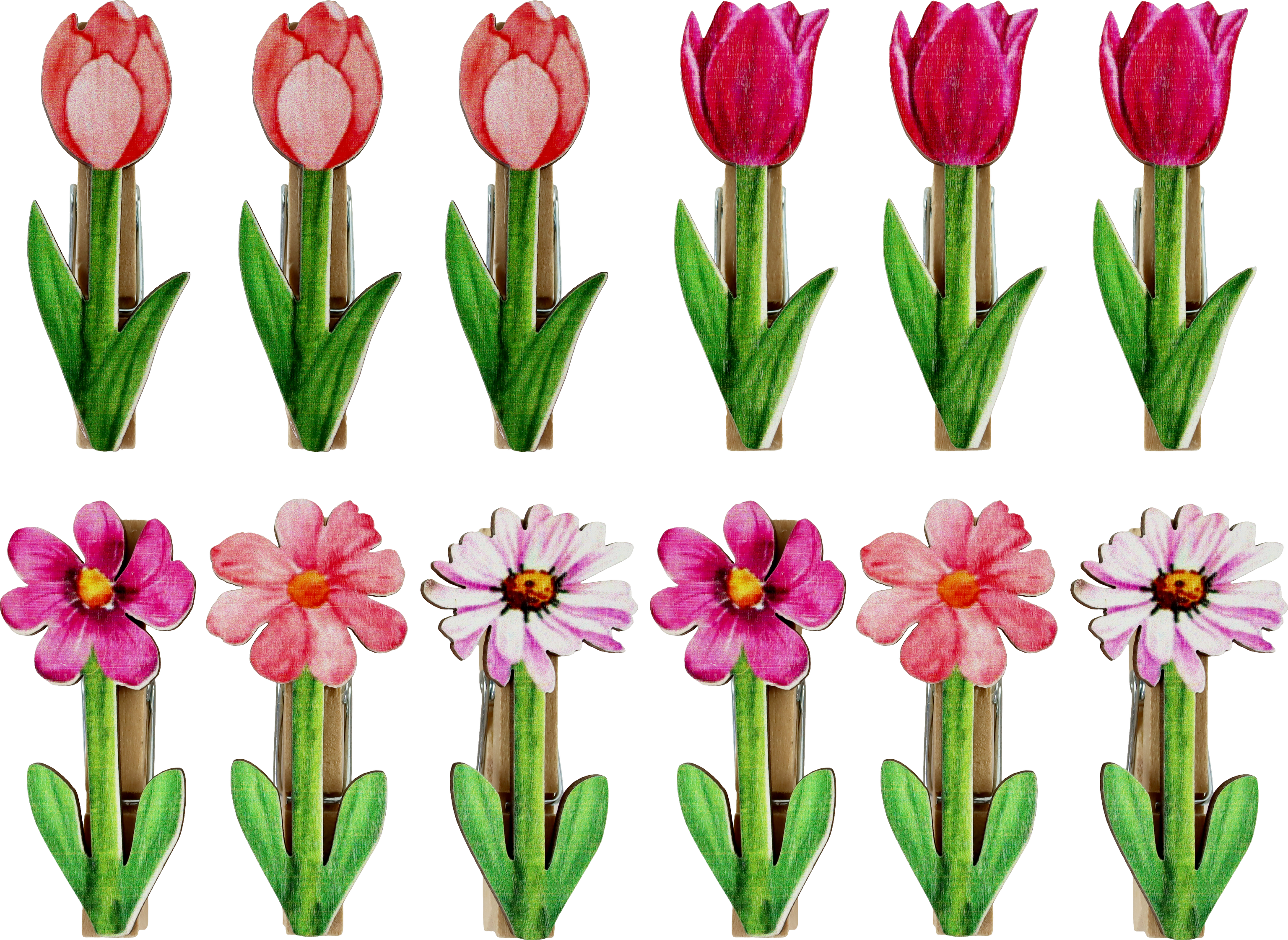 9328 MOLLETTE BLOSSOM BREEZE  12PZ