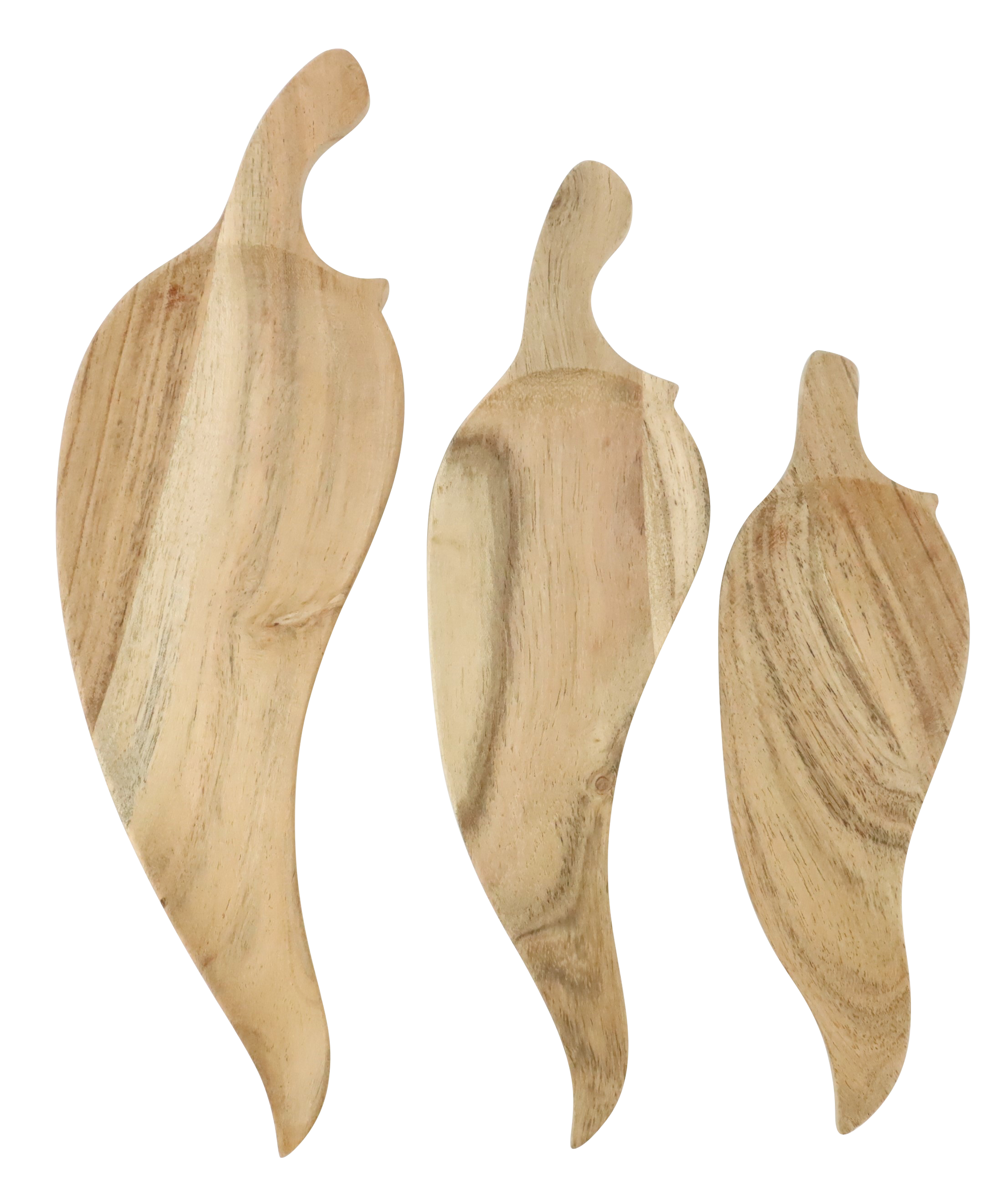 9339 CIOTOLE CHILI  3PZ