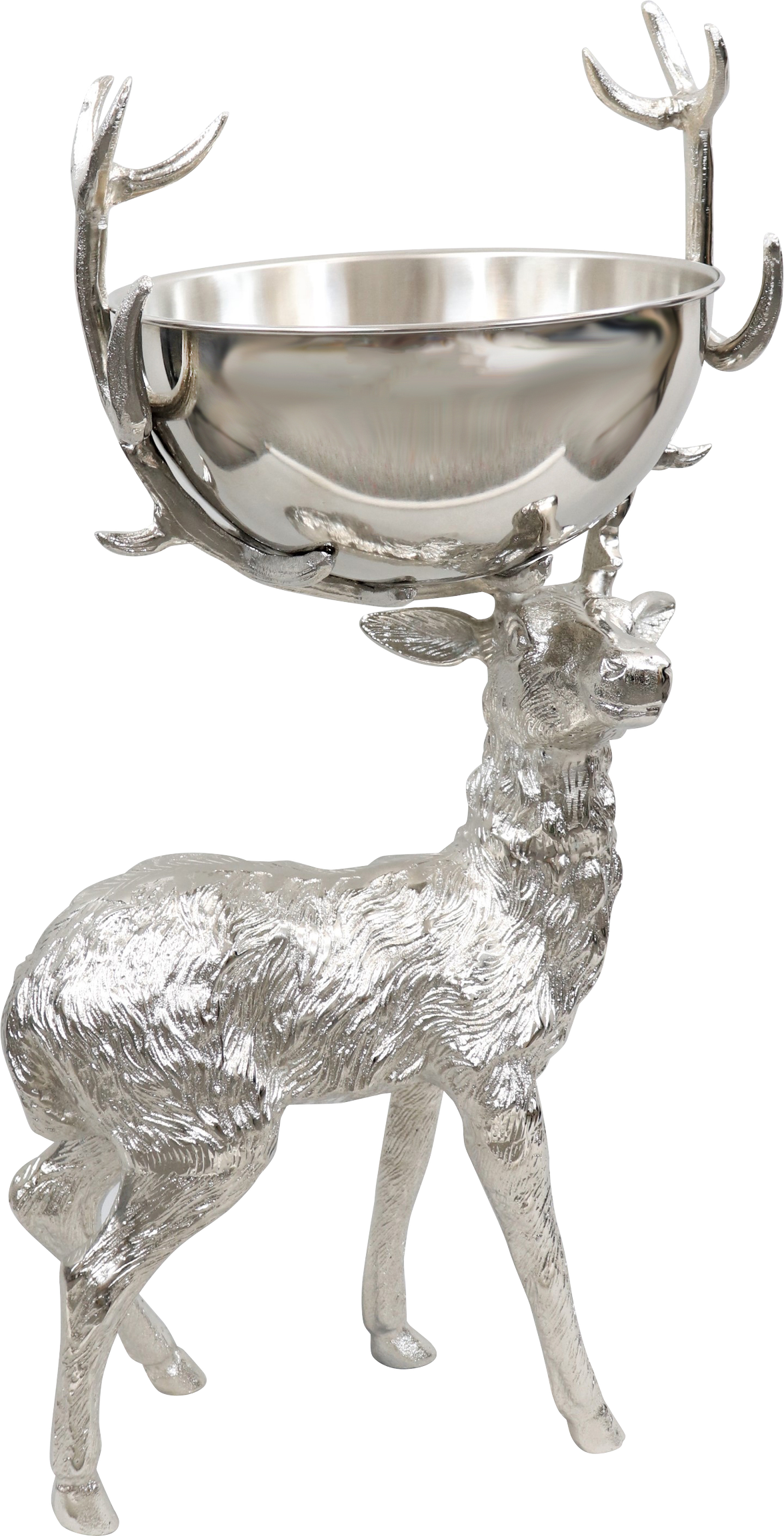 9797 CERVO CON COPPA