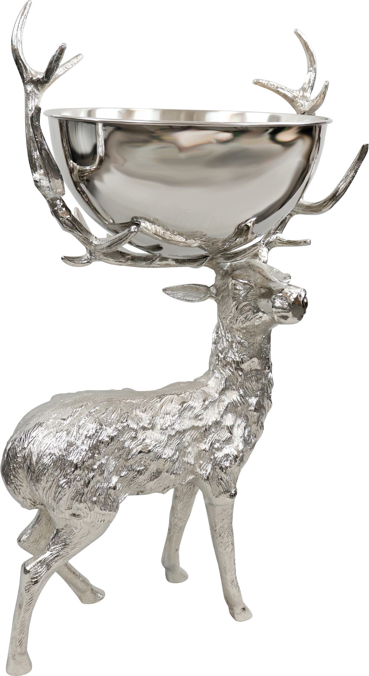 9798 CERVO CON COPPA