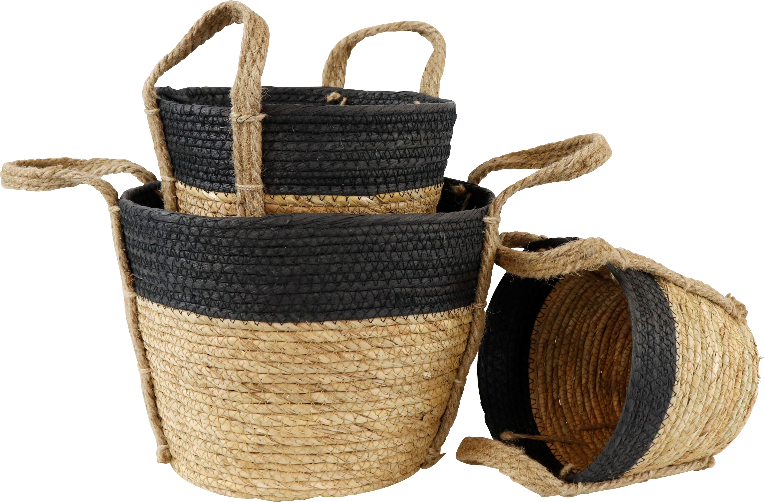 9865 CESTI  NAXOS  3PZ