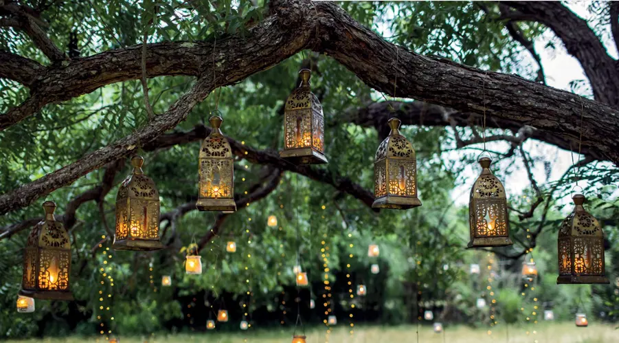 Boho Bliss